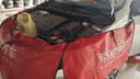 嘉实多（Castrol）极护智E版 全合成机油 5W-30 SP/C2 4L 京东自营 京东养车保养 实拍图