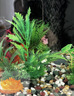 萌嘟星宠仿真水草鱼缸造景套装水族箱布景装饰摆件假植塑料假水草 11件套 实拍图