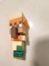 乐高（LEGO）积木我的世界21592 经典角色集合男女孩儿童玩具生日礼物 实拍图