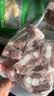 1号会员店（One's Member）黑猪软骨肋排 净重4斤 生鲜猪肉红烧排骨纯猪软骨脆骨原切软排 实拍图