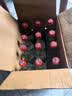 牛栏山 陈酿 白牛二 白瓶 口粮酒 浓香风格 42度 500ml*12瓶 整箱装 实拍图