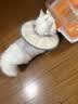 猫八万伊丽莎白圈绝育护理项圈猫咪狗狗美容脖圈防舔咬头套脖圈 灰M 实拍图