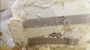 鲜京采the Roll'ING联名 黑金抹茶瑞士卷 500g/8片冰淇淋蛋糕面包甜品 实拍图