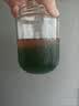 展艺绿薄荷风味糖浆 1kg 调酒咖啡气泡水商用奶茶店专用香蜜饮品原料 实拍图