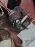 小熊（Bear）绞肉机家用小型不锈钢 绞馅机 搅肉机电动 打蒜机 碎肉机 2026新款家用QSJ-L03K3 实拍图