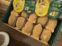 佳沛（zespri）新西兰阳光金果10个装单果重约103-114g 水果礼盒 猕猴桃 实拍图