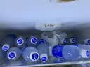 宝矿力水特电解质水功能性运动饮料500ml*15瓶 整箱装补充能量水分 实拍图
