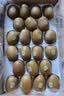 佳沛（zespri）新西兰阳光金奇异果巨大果22粒原箱单果146-175g 猕猴桃水果礼盒 实拍图