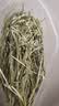 比克熊进口提摩西草一番晒干兔草美提荷兰猪龙猫牧草兔子草兔粮500g 实拍图