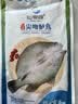 仙泉湖三去尖吻海鲈鱼1斤单条冷冻净膛金目鲈肉厚海鲜水产生鲜食材 实拍图