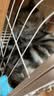 伟嘉成猫猫粮 夹心粮10kg牛肉味全价猫粮 实拍图