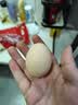 大码鲜鸡蛋1.8kg 实拍图