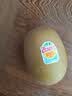 佳沛（zespri）新西兰 阳光金奇异果12粒特大果单果124-146g 猕猴桃水果礼盒 实拍图
