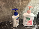 滴露（Dettol）洗手液液体经典松木500g+500g补充装儿童家庭护手替换 实拍图