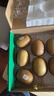 佳沛（zespri）新西兰阳光金奇异果10粒巨大果单果146-175g 猕猴桃水果礼盒 实拍图
