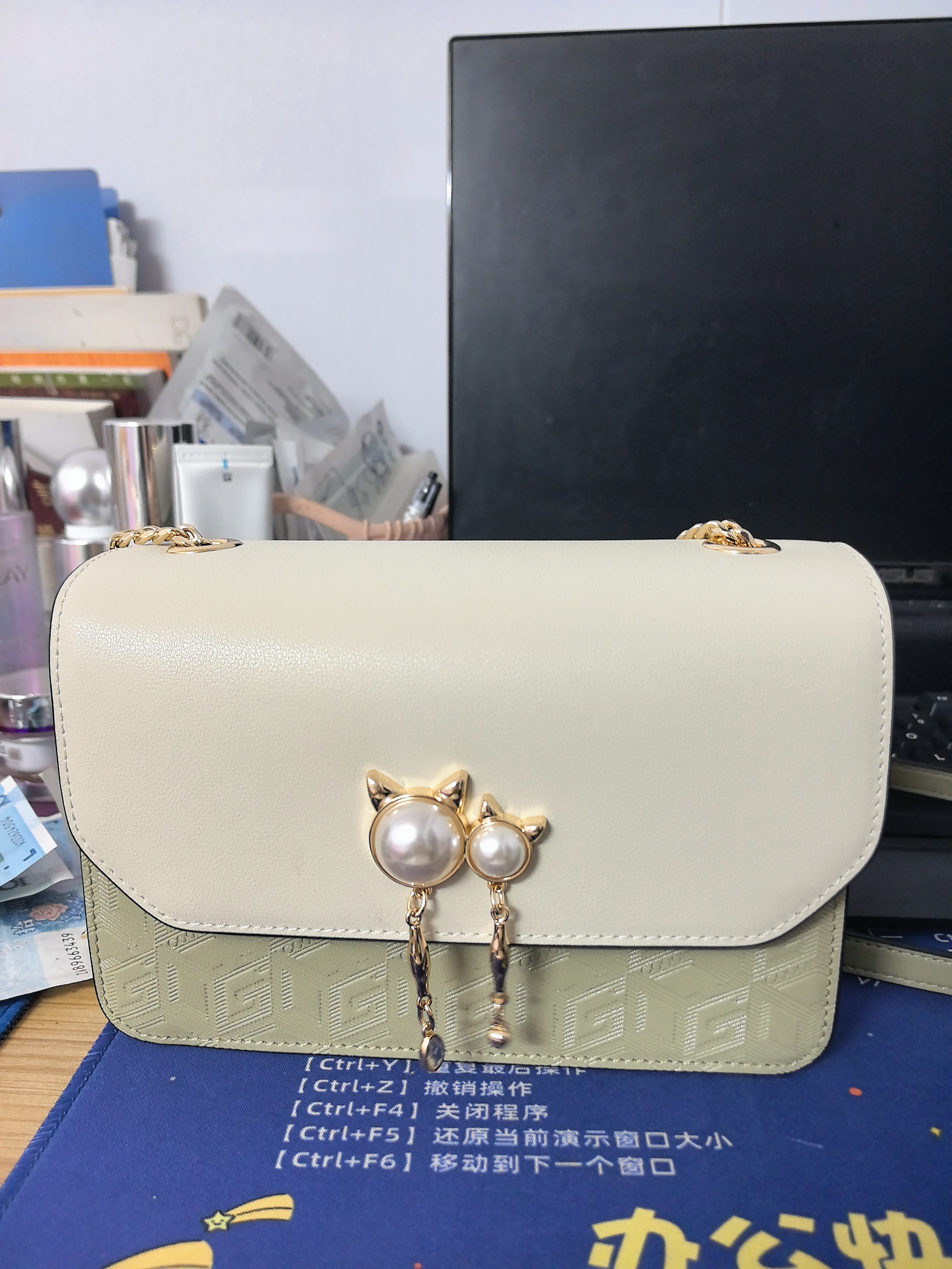 COOGI包包女款轻奢品牌女士单肩斜挎包女七夕情人节生日礼物送女友老婆 抹茶绿 实拍图
