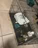 梵昇昱兔子笼加粗加密带厕所带水壶食碗荷兰猪笼龙猫笼仓鼠笼家用养殖笼 黑色-中号40*30*30cm含食碗托盘水壶 实拍图