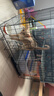 憨憨宠猫笼折叠猫笼子大号猫别墅加粗加密双层猫舍猫窝宠物猫咪用品家用 黑色 850双层 实拍图