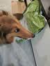 伯纳天纯狗粮中大型犬全价成年犬粮17kg羊肉蔓越莓味囤货装 实拍图