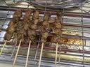 小熊（Bear）电烤炉 烧烤炉 电烧烤炉家用 电烤串机户外烧烤架烤肉烤串一体烤肉炉电烤架室内无烟电炉烤肉 可拆洗【接油盘+烤网】DKL-L20L5 1层 实拍图