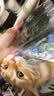 海苔片网红即食烤紫菜寿司儿童女士健康休闲零食独立包装 海苔片30片（15包）【特惠】 实拍图