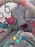 babycare婴儿健身架脚踏钢琴0-1岁新生儿见面礼物宝宝安抚玩具奥尼克狮子 实拍图