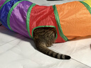 光多拉彩虹猫隧道加长125cm带逗猫球自嗨解闷钻洞迷宫小猫咪玩具可折叠 实拍图