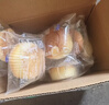 港荣芝士咸蛋糕790g面包零食早餐中西式糕点心纯蛋糕甜品礼盒品 实拍图