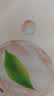 世喜洗奶瓶清洗剂婴儿宝宝奶瓶果蔬清洗剂泡沫450ml+替换装*2 实拍图