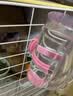喜帅 兔子水壶仓鼠饮水喝水器龙猫荷兰猪滚珠喝水壶 颜色随机650ml  实拍图