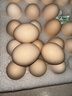正大食品（CP）睛彩叶黄素鲜鸡蛋30枚 1.68kg  富含叶黄素  礼盒装 京东自营 实拍图