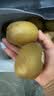佳沛（zespri）金奇异果25粒原箱特大果134-146g猕猴桃中秋节礼品送水果礼盒 实拍图