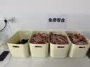 壁坳香葱饼干葱香薄脆葱油小饼干4斤整箱独立包装解馋休闲零食饼干 实拍图
