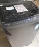 小天鹅（LittleSwan）波轮洗衣机小型全自动家用 10KG TB10V28T 一级能效 除菌螨 以旧换新 京东自营 出租房宿舍 实拍图