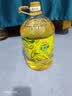 金龙鱼 食用油 非转基因 物理压榨玉米油6.18L（蕴含植物甾醇） 实拍图
