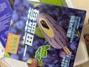 东北大板一亩蓝莓蓝莓味雪糕 95g*4支盒装 冷饮 批发 冰激凌 冰淇淋 实拍图