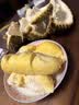京鲜生 进口金枕头鲜榴莲 净重5-6斤 1个装 新鲜榴莲 水果教师节送礼 实拍图
