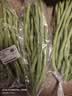 无筋豆约300g(豆王) 实拍图