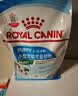 皇家狗粮幼犬成长礼盒（幼犬粮 800g+成犬粮 50g*5）小型犬 泰迪 贵宾 实拍图