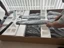 易跑YPOO马拉松跑步机家庭用爬坡折叠减震护膝静音高端健身房器材M5 马拉松Ultra燃动版/15°全地形大坡度/超燃动模式 实拍图