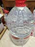 娃哈哈纯净水15L*1桶 大桶水一次性桶装水不循环使用哇哈哈饮用水 实拍图
