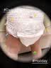 MOONY尤妮佳极上极光薄拉拉裤XL28婴儿纸尿裤超薄透气散热持久干爽 实拍图