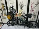大行（DAHON）P8折叠自行车经典成人20英寸8速折叠车男女式运动单车KBC083 橙色【经典版】 实拍图