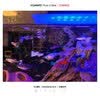 派乐特鱼缸底砂造景石头子五彩石溪流石水族箱龟缸多肉装饰彩色雨花五斤 实拍图