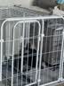 欢宠网宠物地垫防水防尿狗狗专用垫子狗垫地毯围栏狗笼猫笼超大防滑睡垫 实拍图