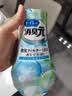 小林制药（KOBAYASHI）厕所消臭元桂花香385ml空气清新剂去异味除臭卫生间厕所专用香薰 实拍图