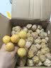 京觅东北姑娘果5斤装净重 灯笼果黄菇娘洋姑娘果 新鲜水果 源头直发 实拍图