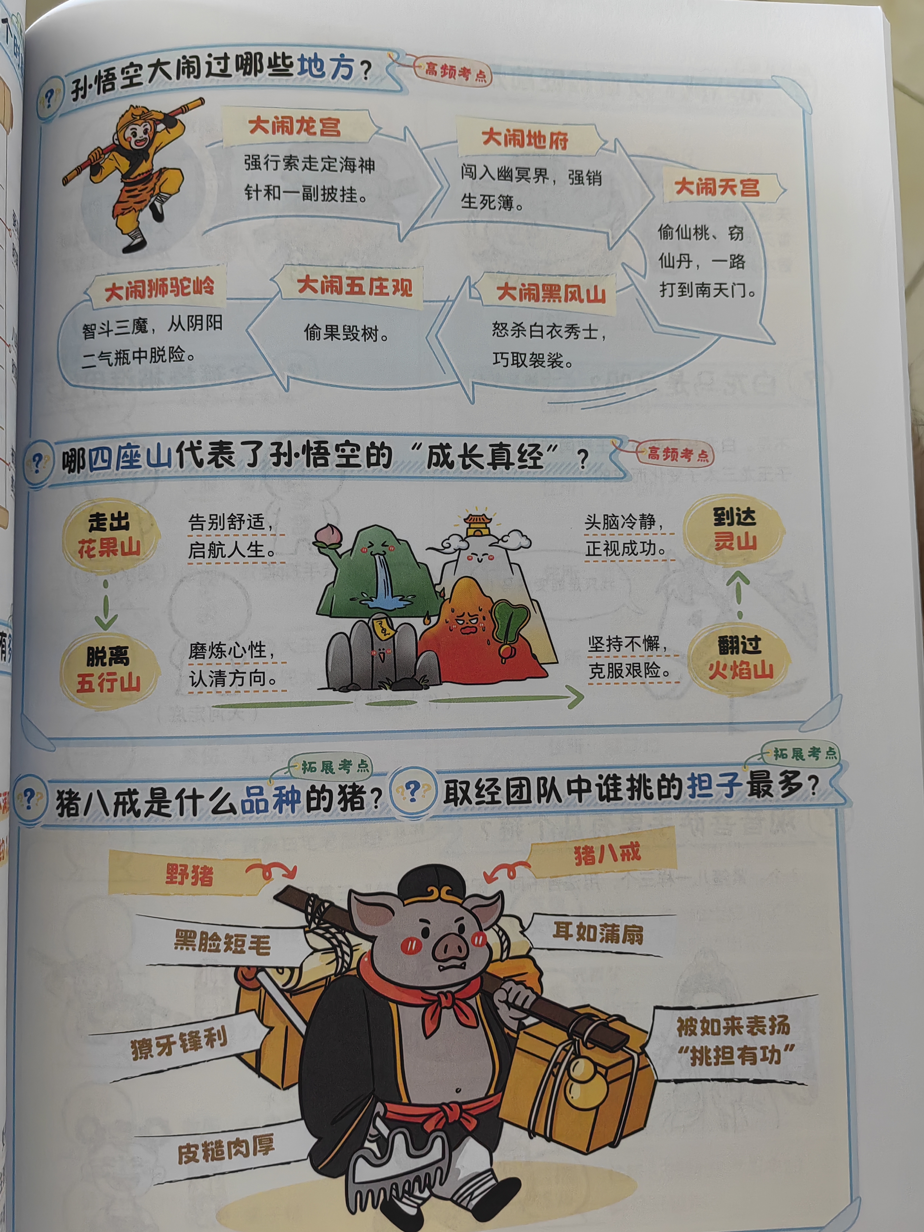 小学名著必背考点 2026版同步教材快乐读书吧漫画速记30本名著阅读一二三四五六年级期末考点专项训练 开学季 实拍图
