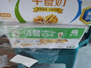 伊利早餐奶核桃味 250ml*24盒 优选核桃早餐伴侣 礼盒装 实拍图