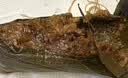 丁山河粽子大肉粽蛋黄肉粽梅干菜嘉兴特产真空手工粽子端午节780g共6只 实拍图